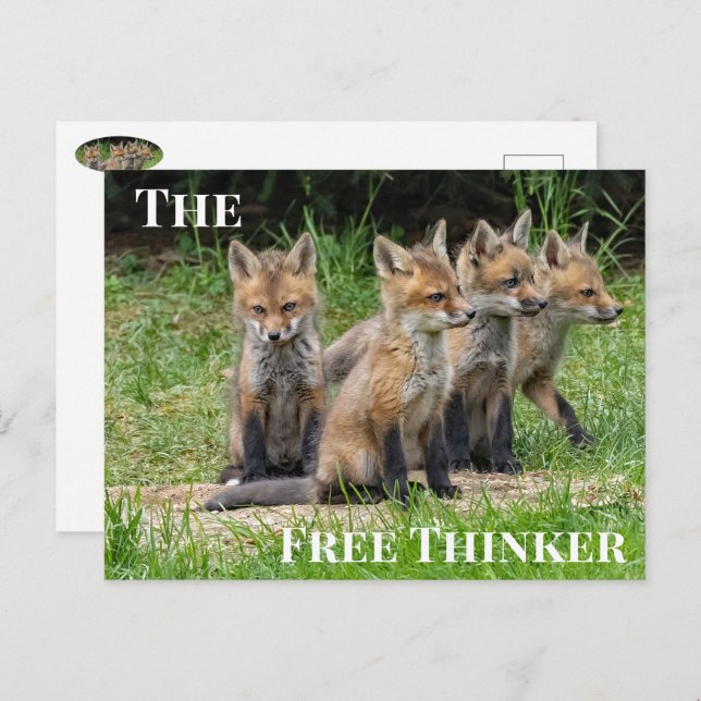 The Free Thinker Fox Postcard (Front/Back)