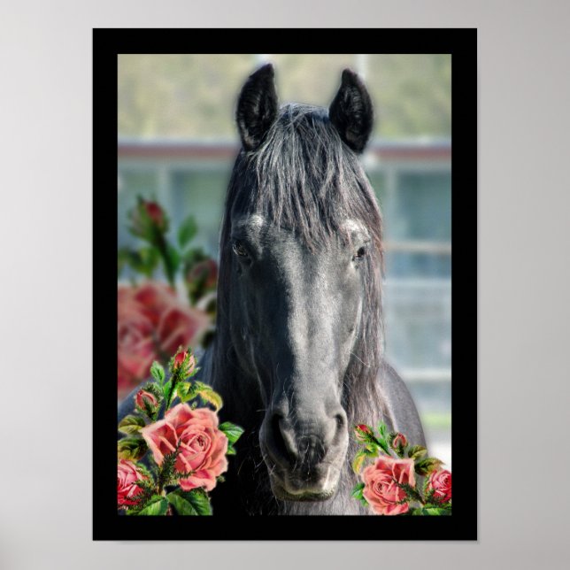 The Friesian - Portrait Poster (Front)