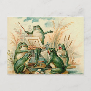 The Frog Band Postcard
