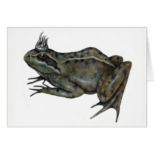 The Frog Prince.