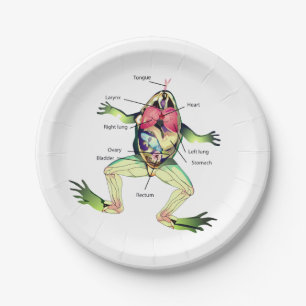 The Frog's Anatomy Illustration Paper Plate