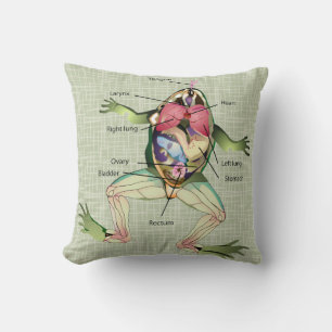 The Frog's Anatomy Illustration Throw Pillow