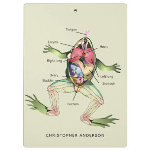 The Frog's Anatomy Personalized Clipboard