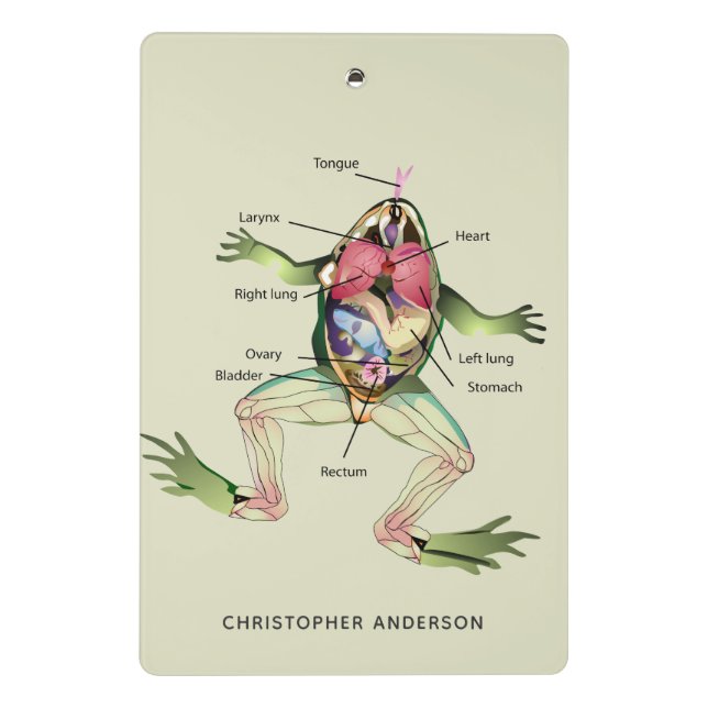The Frog's Anatomy Personalized Mini Clipboard (Back)