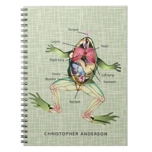 The Frog's Anatomy Personalized Notebook