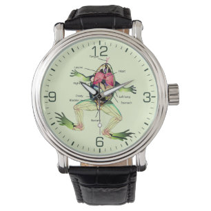 The Frog's Anatomy Watch