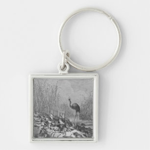The frogs asking for a king, keychain
