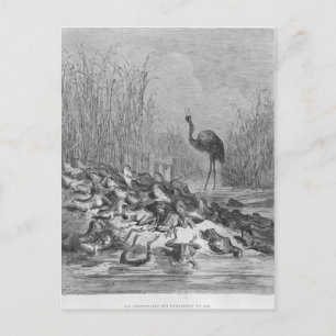 The frogs asking for a king, postcard