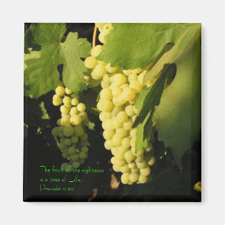 The fruit of the righteous is a tree of... magnet