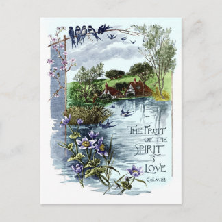 The Fruit Of The Spirit Is Love Postcard