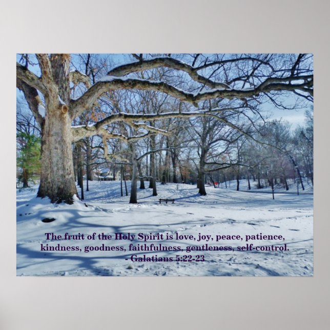 THE FRUIT OF THE SPIRIT POSTER (Front)