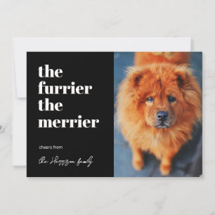 The furrier the merrier dog photo pet holiday card