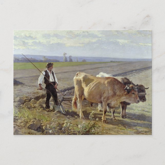The Furrow, 1897 Postcard (Front)