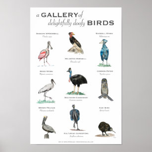 The Gallery of Delightfully Doofy Birds 11x17 Poster