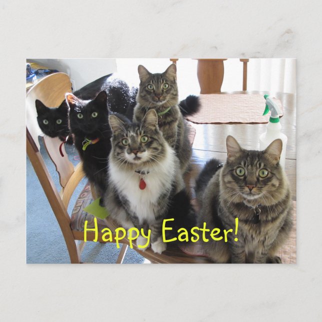 The Gang Happy Easter Postcard (Front)