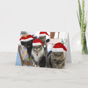 The Gang Merry Christmas Greeting Holiday Card