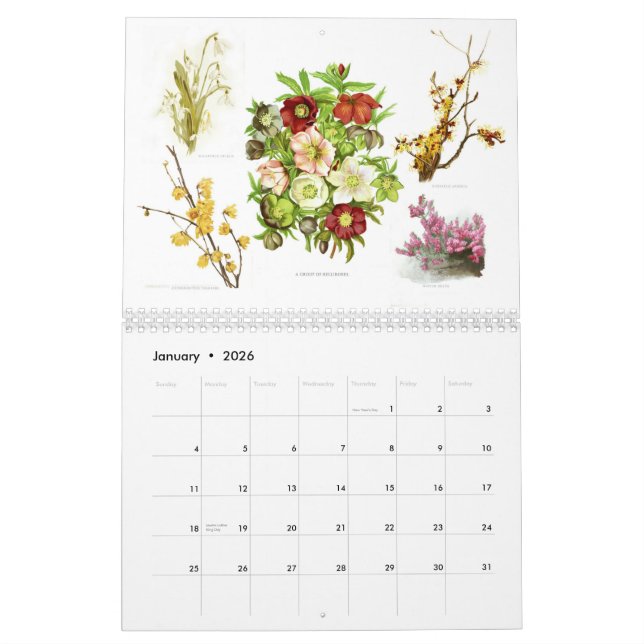 The Garden 2015 Calendar (Jan 2026)