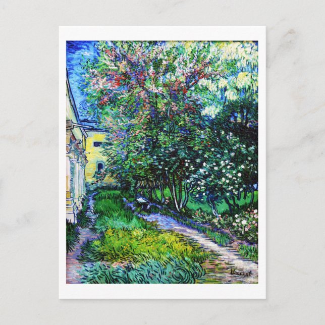The Garden at the Asylum at Saint-Rémy, Van Gogh Postcard (Front)