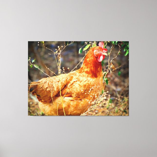 The Garden Inspector Canvas Print (Front)