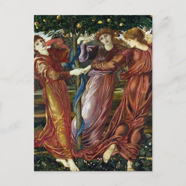 The Garden of the Hesperides, Burne-Jones Postcard (Front)