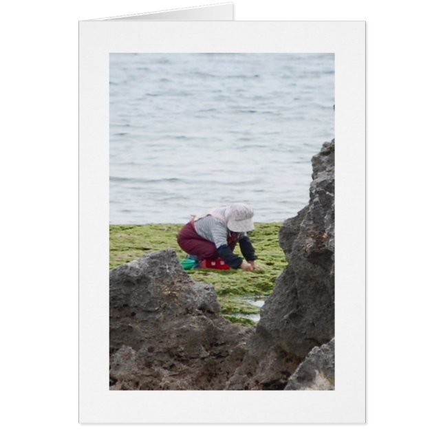 The Gatherer (Devant)