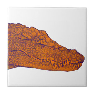 THE GATORS GLANCE TILE