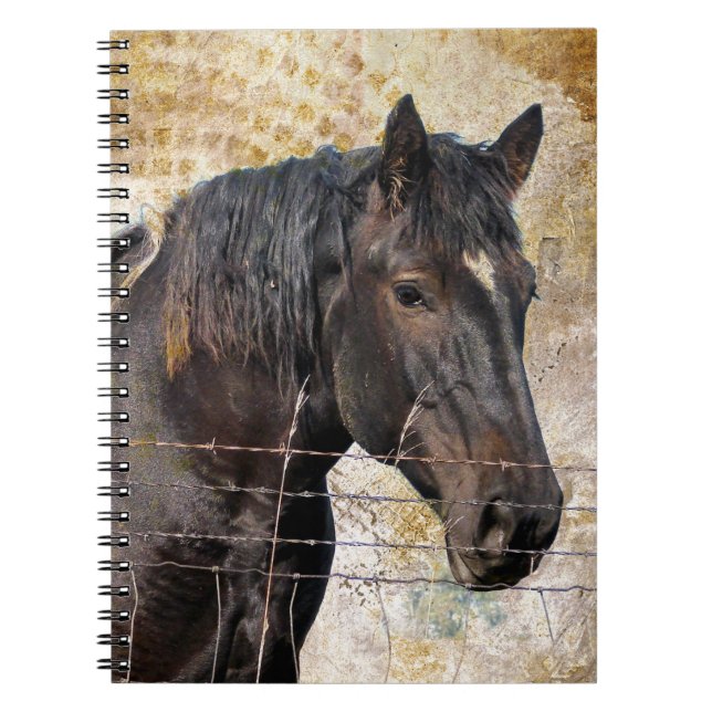 The Gentle One, A draught horse Notebook (Front)