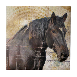 The Gentle One, A draught horse Tile