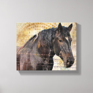 The Gentle One Canvas Print