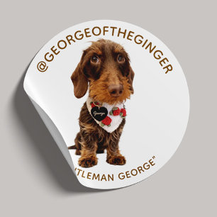 The George   Modern Pet Influencer Photo 1.5" Classic Round Sticker