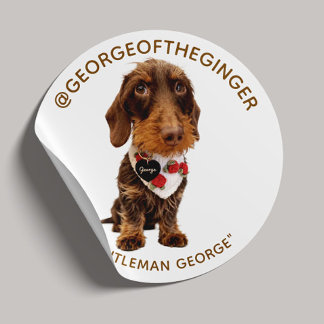 The George | Modern Pet Influencer Photo 1.5" Classic Round Sticker
