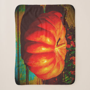 The georgeous glossy Pumpkin on a Sherpa Blanket