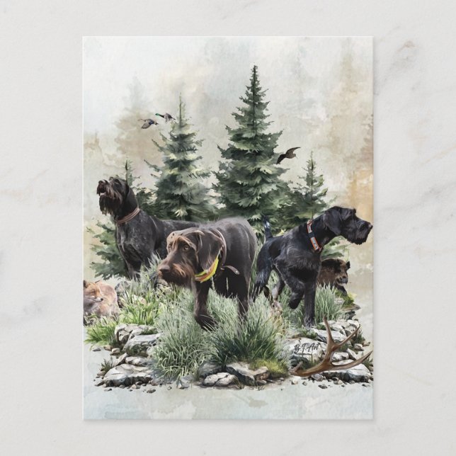 The German Wirehaired Pointers, Art Holiday Postcard (Front)