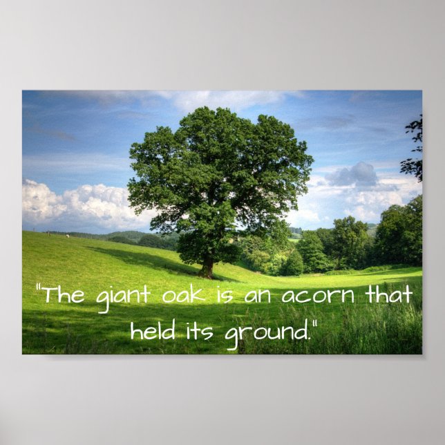 “The giant oak is an acorn that held its ground.” Poster (Front)