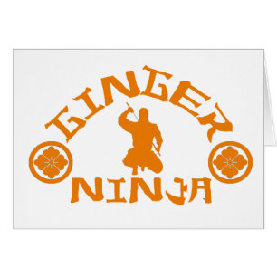 The Ginger Ninja