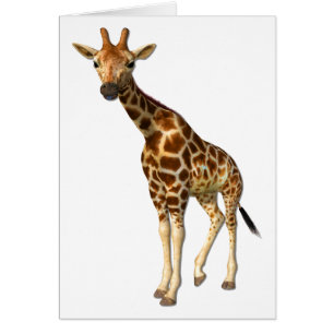 The Giraffe Card
