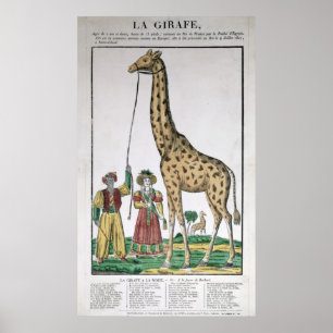 The Giraffe Presented to King from Pasha of Poster