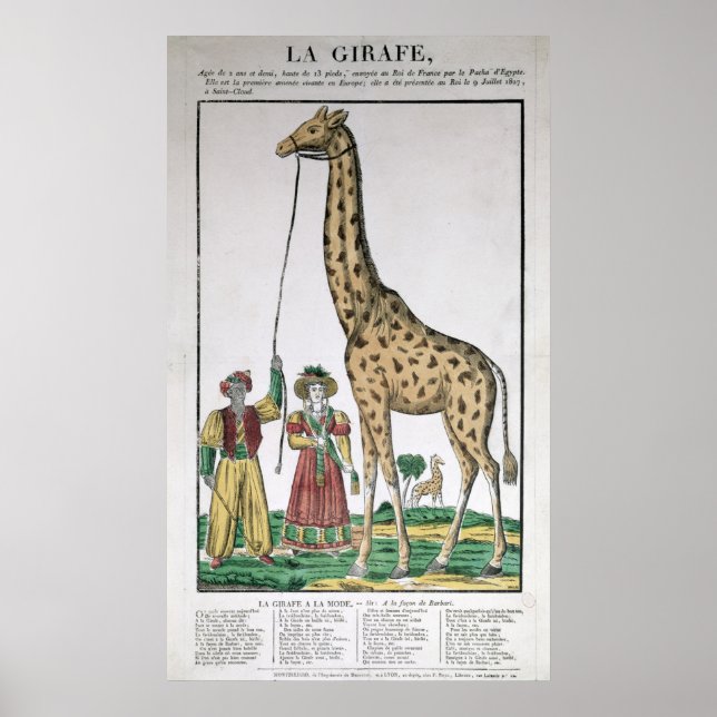 The Giraffe Presented to King from Pasha of Poster (Front)