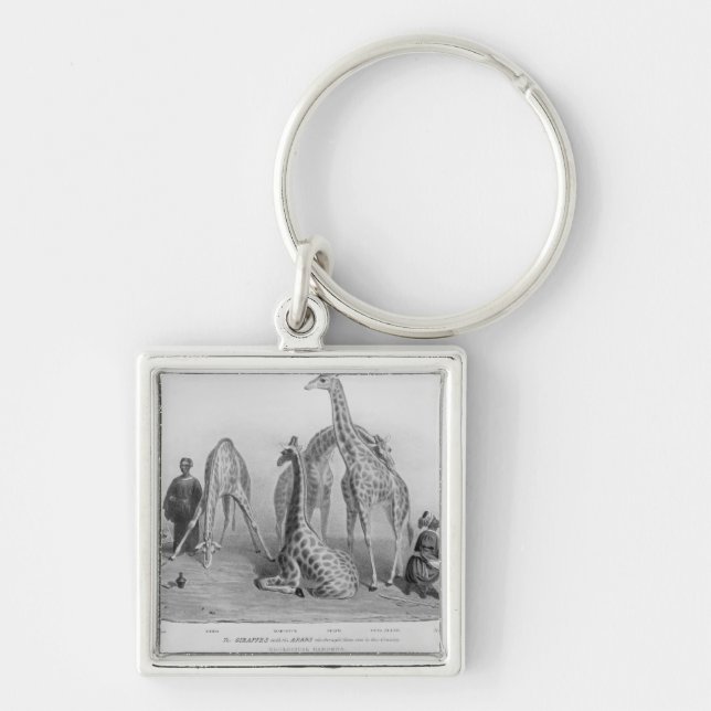 The Giraffes with the Arabs Keychain (Front)