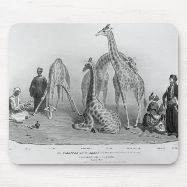 The Giraffes with the Arabs Mouse Pad (Front)