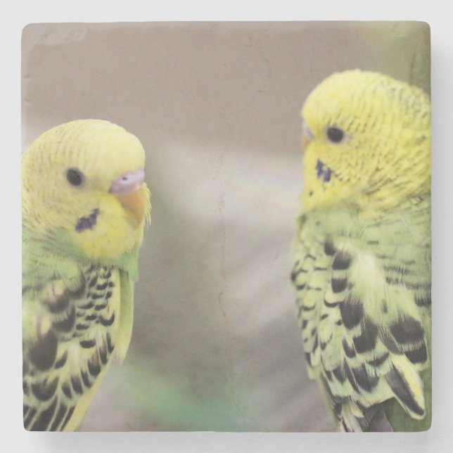 The girls stone coaster (Front)