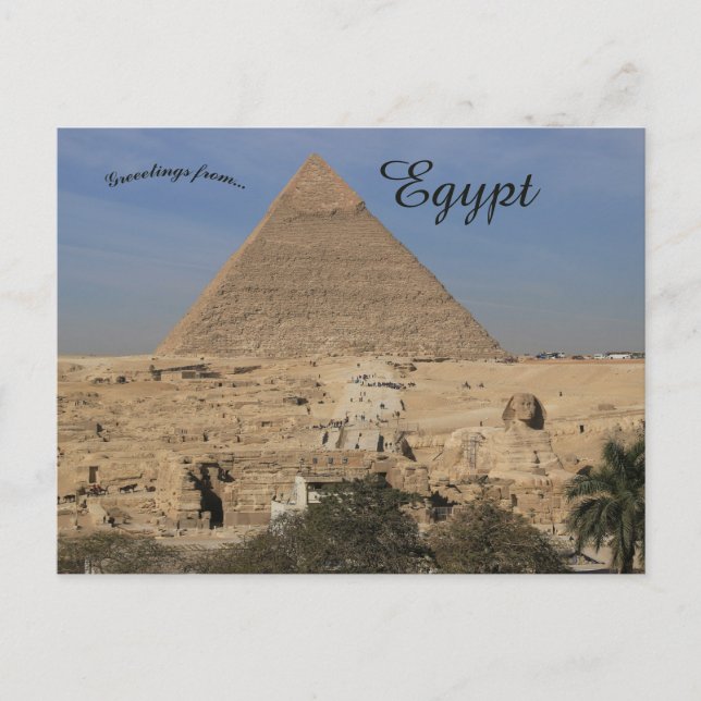 The Giza Pyramids Complex in Egypt Postcard (Front)