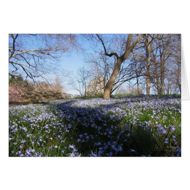 The Glory of Spring--Card (Front Horizontal)