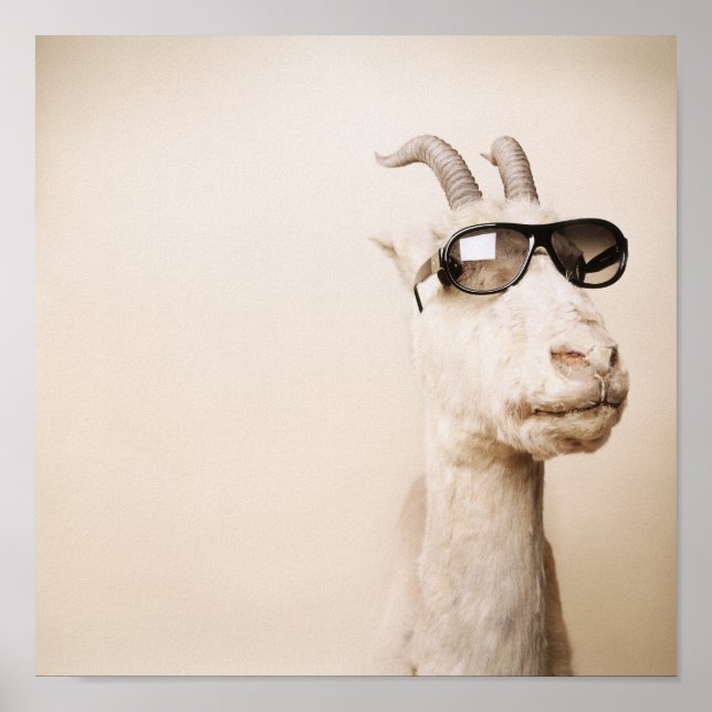 The goat poster (Front)