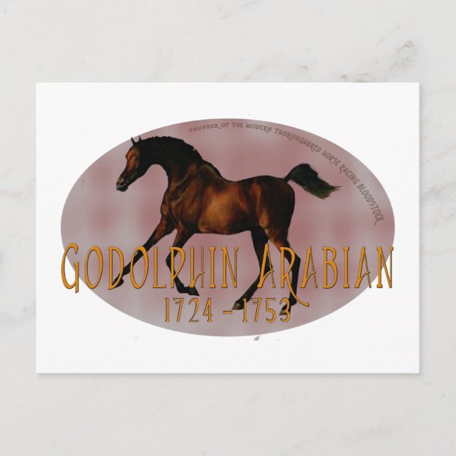 The Godolphin Arabian Postcard (Front)