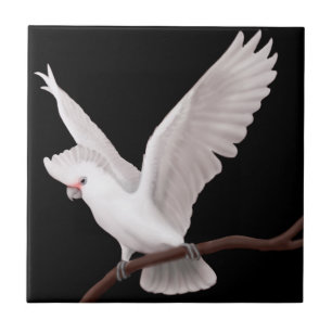 The Goffins Cockatoo Parrot Tile