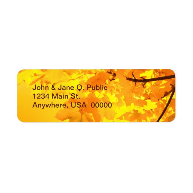 The Gold of Autumn (Front)