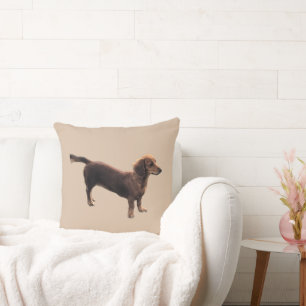 The Golden Dachshund Throw Pillow