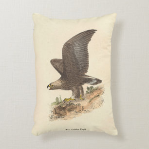 The Golden Eagle	(Aquila chrysaetos) NY Bird Image Accent Pillow