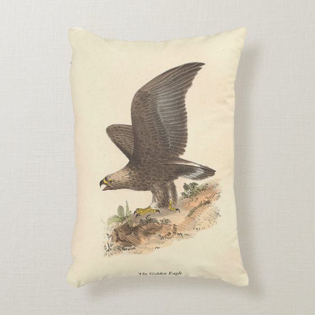 The Golden Eagle	(Aquila chrysaetos) NY Bird Image Accent Pillow (Front(Vertical))